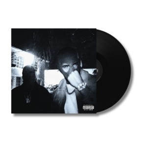 VINYL TRAVIS SCOTT JACKBOYS 2 - MASK COVER